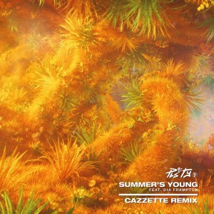 收听PLS&TY的Summer's Young (Cazzette Remix)歌词歌曲