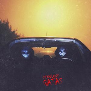 Dengarkan lagu Gatas nyanyian Xenology dengan lirik