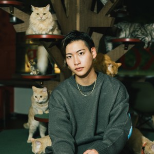 ดาวน์โหลดและฟังเพลง 犬と猫と (Explicit) พร้อมเนื้อเพลงจาก 山田健登
