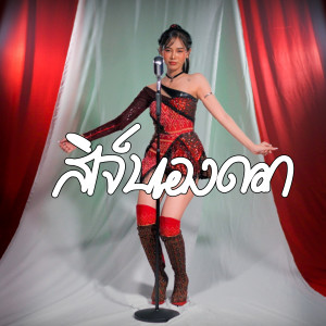 ดาวน์โหลดและฟังเพลง สิเจ็บเองดอก พร้อมเนื้อเพลงจาก ตุ๊กตา นริศรา แปดแสนซาวด์