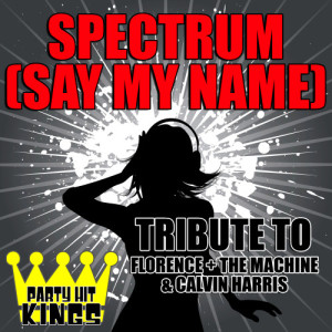 Party Hit Kings的專輯Spectrum (Say My Name) [Tribute to Florence + the Machine & Calvin Harris] - Single
