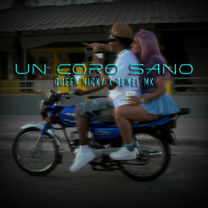 Listen to Un Coro (Explicit) song with lyrics from Queen Nicky