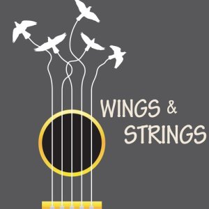 ดาวน์โหลดและฟังเพลง Night Song พร้อมเนื้อเพลงจาก Massage Tribe