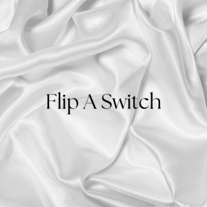 Flip A Switch (Remix)