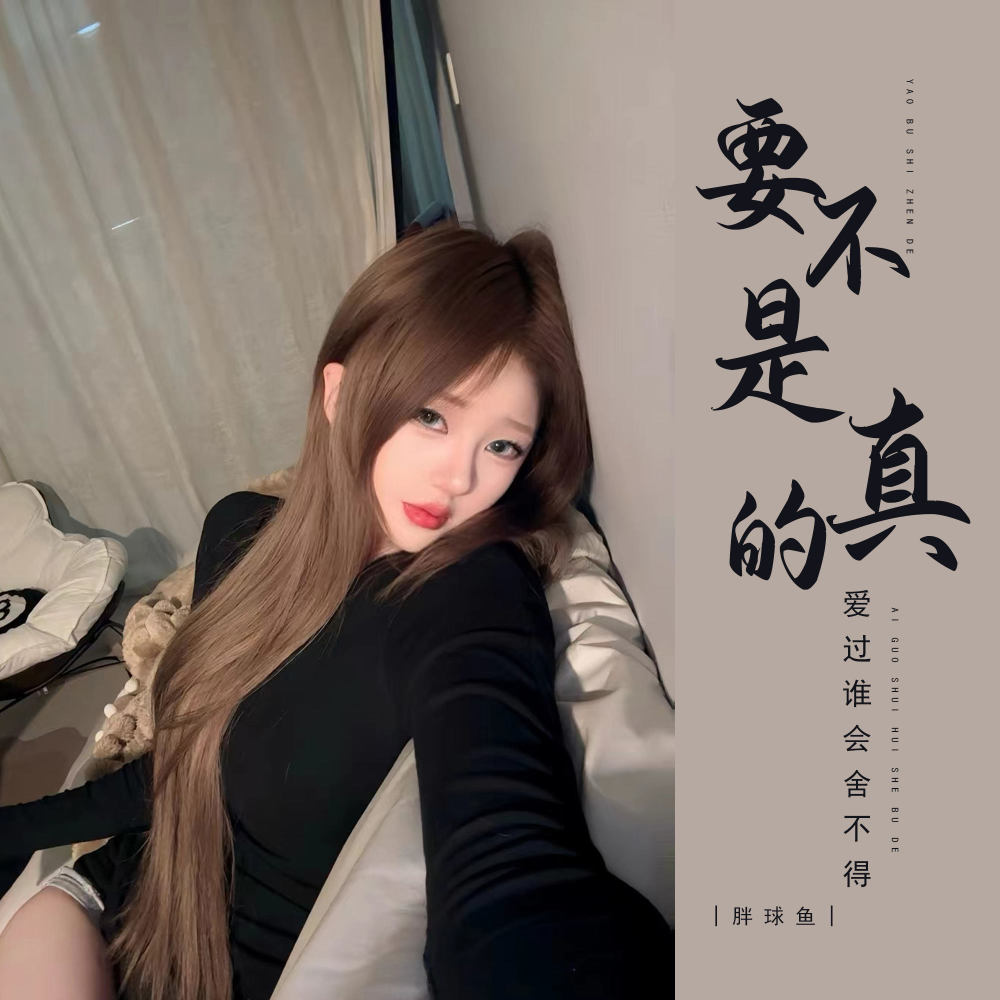 要不是真的爱过谁会舍不得 (DJ版)