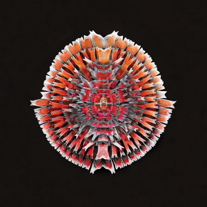 default album img