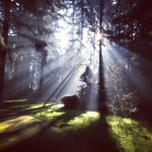 Listen to Buddhist Meditation song with lyrics from Relaxing Music
