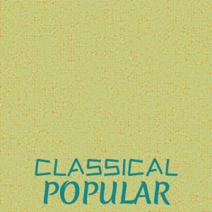Various Artists的專輯Classical Popular