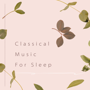 ดาวน์โหลดและฟังเพลง 巴哈: 郭德堡變奏曲 พร้อมเนื้อเพลงจาก 贵族音乐古典