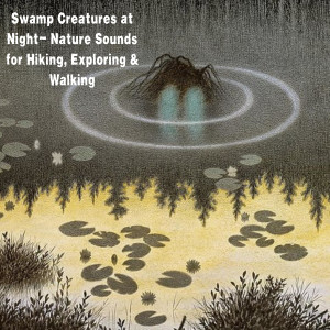 Swamp Creatures at Night- Nature Sounds for Hiking, Exploring & Walking