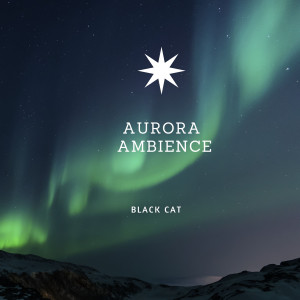 Black Cat的專輯Aurora Ambience