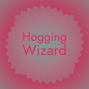 Various的专辑Hogging Wizard