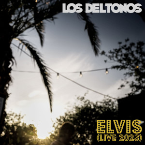 default album img