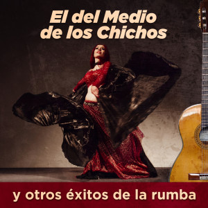 收聽Los Fernandos的El del Medio de los Chichos歌詞歌曲