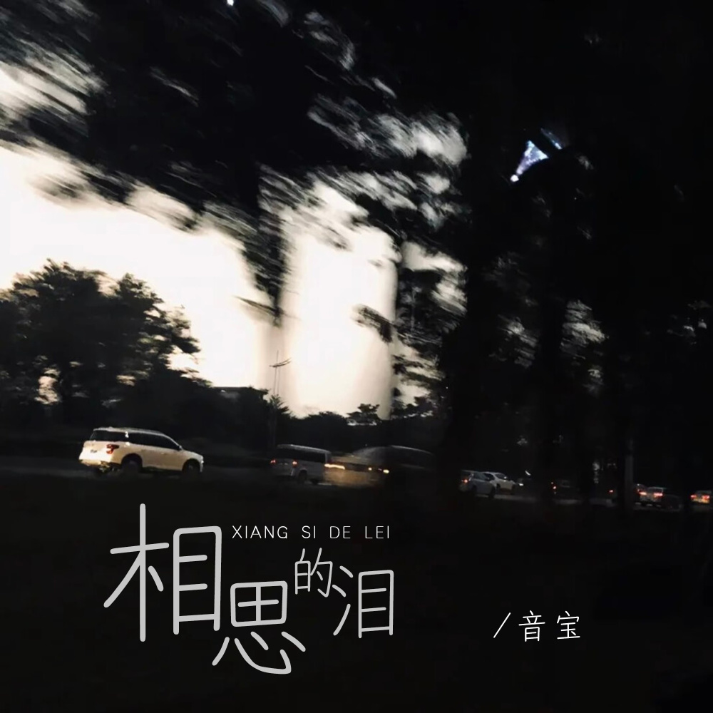相思的泪 (伴奏)