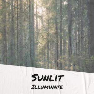 Listen to Sunlit Illuminate song with lyrics from Rouben Anad