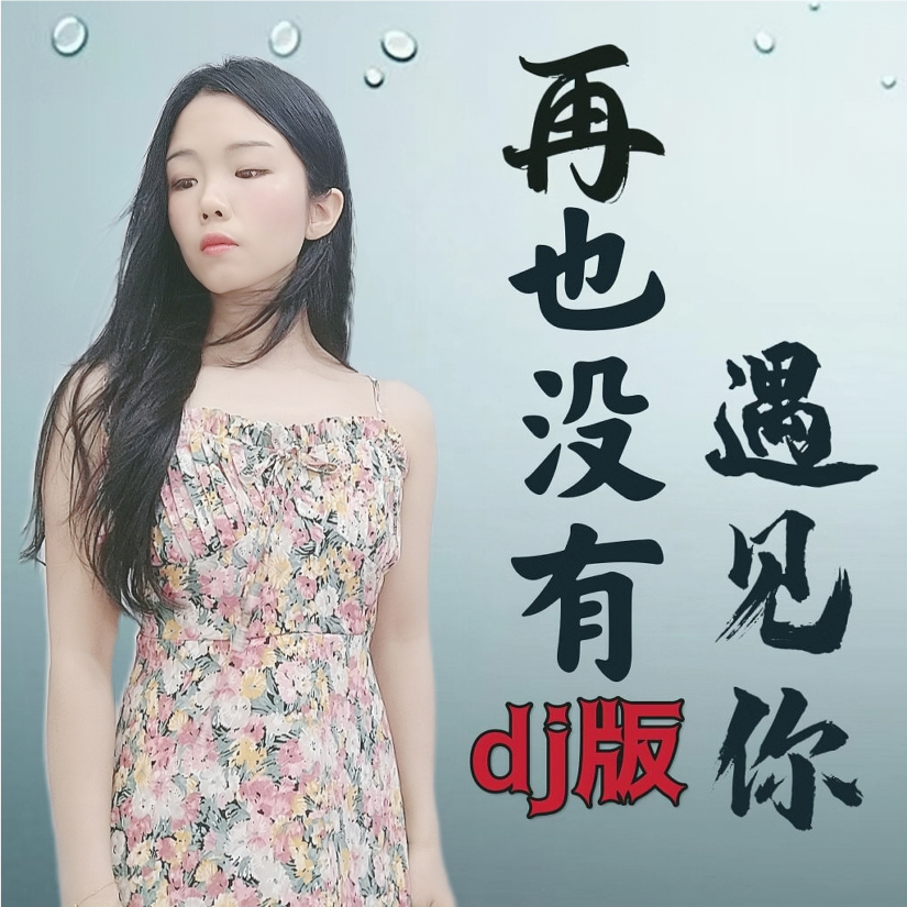 再也没有遇见你(沐沐版) (完整版)