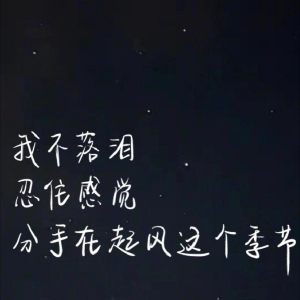 收聽K219__的我落淚情緒零碎 (cover: 林凡軒SANSAN) (完整版)歌詞歌曲