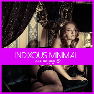 Various Artists的專輯Indixous Minimal