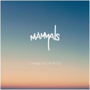 ดาวน์โหลดและฟังเพลง Chase Your Bliss (Explicit) พร้อมเนื้อเพลงจาก Mammals