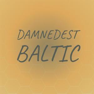 Various的专辑Damnedest Baltic