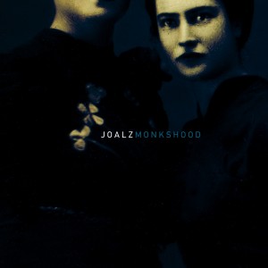 ดาวน์โหลดและฟังเพลง Cock พร้อมเนื้อเพลงจาก Joalz