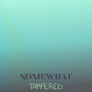Listen to Somewhat Tampered song with lyrics from Burty Raki