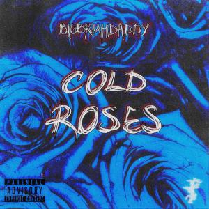 Listen to Cold Morning (Explicit) song with lyrics from BIGBRUHDADDY