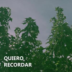 Album Quiero recordar (feat. ALBERO) from Albero