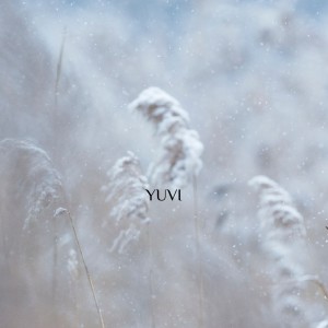 收聽DjSunnyMega的Yuvi歌詞歌曲