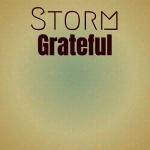 Listen to Storm Grateful song with lyrics from eLynn