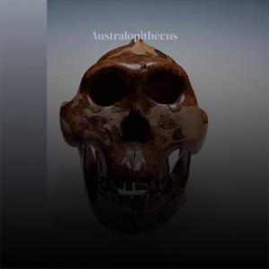 ดาวน์โหลดและฟังเพลง Contain Dead พร้อมเนื้อเพลงจาก Eugen Bons