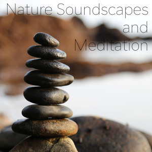 收听Peace of Nature的Ocean Melody歌词歌曲