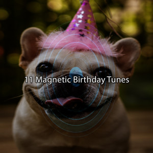 11 Magnetic Birthday Tunes dari Happy Birthday