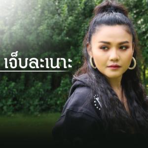 收听PETCHTAN的เจ็บละเนาะ (Cover Version)歌词歌曲