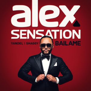 Album Bailame (feat. Yandel & Shaggy) from Alex Sensation