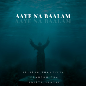 Pranshu Jha的專輯Aaye Na Baalam (Clean)