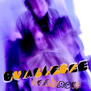 Album Bumblebee (Explicit) from Polaroid