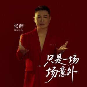 Album 只是一场意外 from 张萨