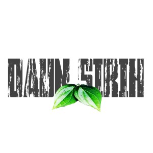 收聽Daun Sirih的Cepat Kembali歌詞歌曲