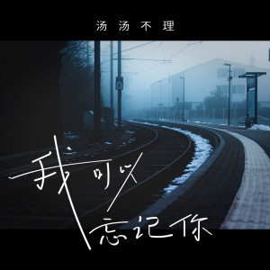 收聽湯不理的我可以忘記你歌詞歌曲