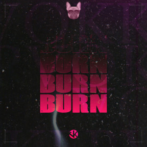 Album Burn (Explicit) from Vokker