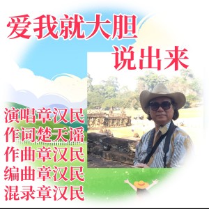 Album 爱我就大胆说出来 from 章汉民