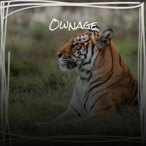 ดาวน์โหลดและฟังเพลง Ownage พร้อมเนื้อเพลงจาก Pant Caly