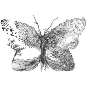 收聽James Ross的Butterfly歌詞歌曲