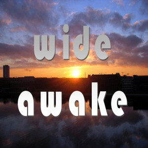 ดาวน์โหลดและฟังเพลง Wide Awake (Explicit) พร้อมเนื้อเพลงจาก I'm Wide Awake
