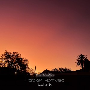 Listen to Stellarity (Intro Mix) song with lyrics from Parcker Montivero