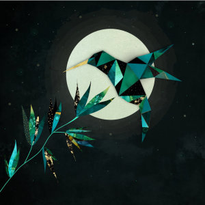收聽Koloto的Flight Of The Nebers歌詞歌曲