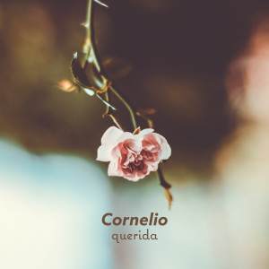 Dengarkan lagu Querida nyanyian Cornelio dengan lirik