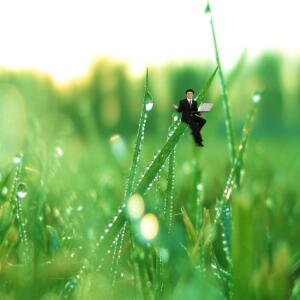 default playlist img